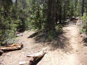 The 2 Beach Ridge Trails