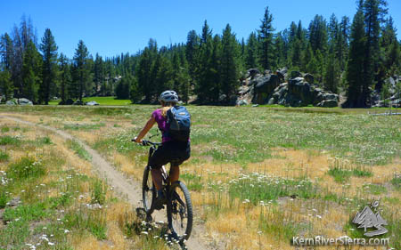 Cannell Meadow Trail photo