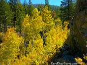 Fall Colors at Durrwood Creek
