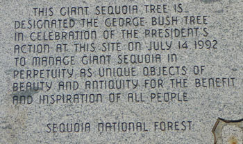 George Bush Tree Plaque