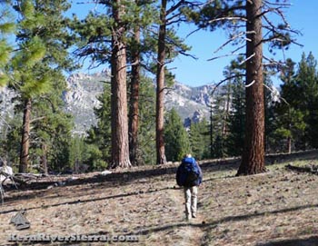 Woodpeacker Trail hiker