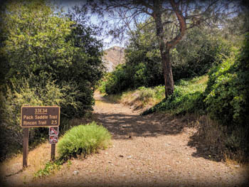 Pack Saddle Trail sign