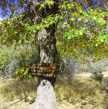 Upper River Trail  at Rincon Trail sign