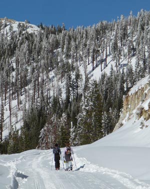 Skiing up Sherman Pass