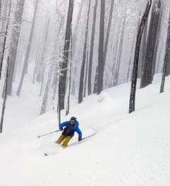 Skiing powder in sequoia national forest
